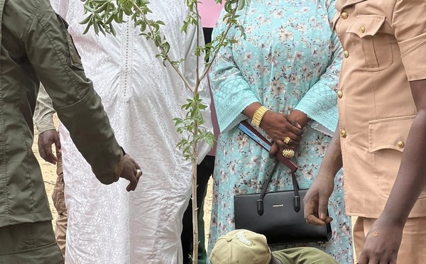 Ordonnant de "faire dégager " l'édile de Kaolack, des Sénégalais réclament le limogeage du préfet Latyr Ndiaye
