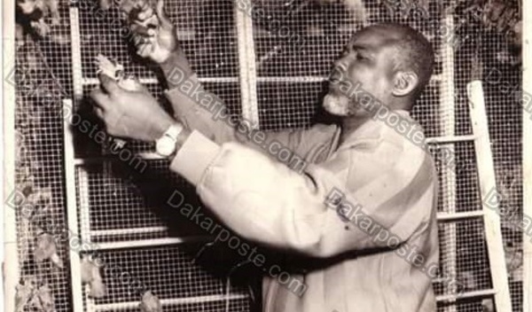 Voici le milliardaire  El hadji Diallo Pithi