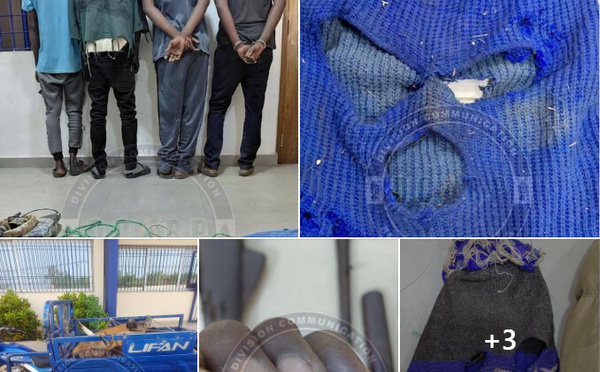 Lutte contre la criminalité : une bande armée démantelée à Kédougou