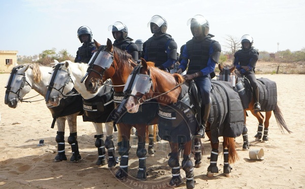 MAINTIEN DE L’ORDRE : LA GENDARMERIE RENFORCE LES CAPACITÉS DE SES UNITÉS DE CAVALERIE