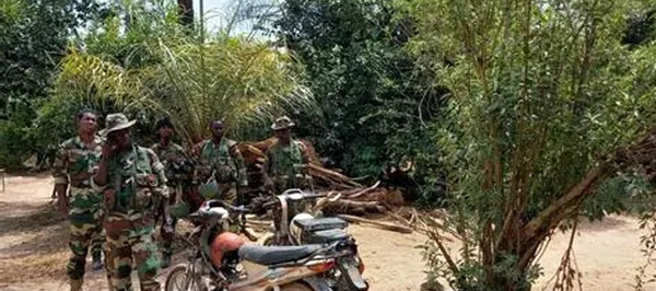 Casamance : l’armée sénégalaise frappe fort contre les trafiquants