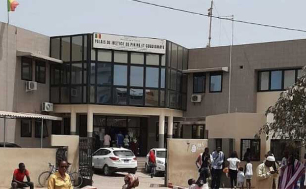 Effondrement d’un mur au Technopole : des serpents s’invitent au tribunal