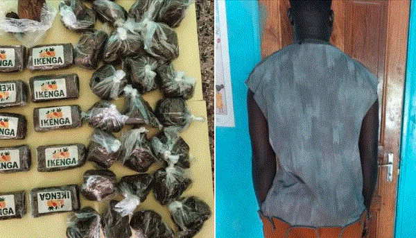 TRAFIC DE DROGUE : UN PASSAGER ARRÊTÉ AVEC 17,5 MILLIONS FCFA DE HASCHICH À KARANG