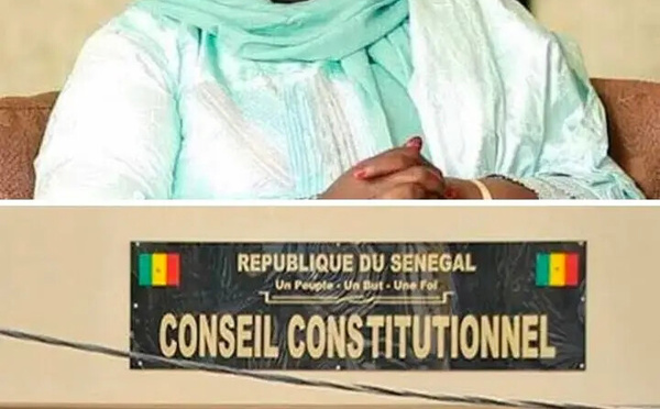 Les leçons de la décision du Conseil constitutionnel