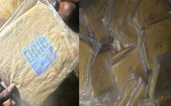 Coup de filet de la DIC : 53 kg de chanvre indien saisis, deux trafiquants déférés au parquet