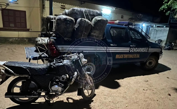 Lutte contre le trafic de drogue : 360 kg de chanvre indien saisis à Joal