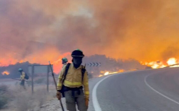 Au moins 12 morts dans un feu de forêt près d'Almeria, dans le sud de l'Espagne