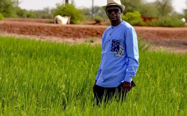 PODOR : Renforcement de la mise en valeur Amélioration des rendements agricoles Le binôme mobilisateur, au cœur de la tournée du Dg de la SAED