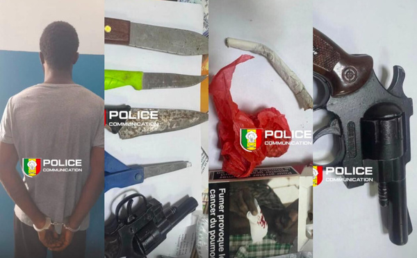 Golf Sud : une patrouille met au jour un revolver et du chanvre indien dans une résidence de la Cité Nations Unies