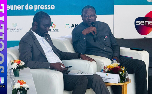 Électricité : La baisse du prix conditionnée à l'arrivée du gaz local, « au plus tard en 2029 », selon le DG Pape Toby Gaye