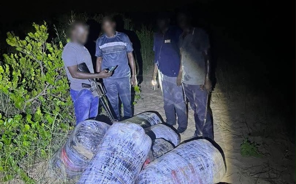 Lutte contre le trafic de stupéfiants : La Gendarmerie nationale démantèle un important réseau et saisit 360 kg de chanvre indien sur le littoral de Mbodiène