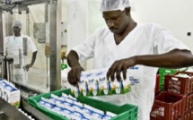 Evasion fiscale : SATREC VITALAIT au cœur d’un scandale financier Evasion fiscale : SATREC VITALAIT au cœur d’un scandale financier