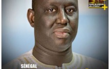 ENQUETE : pourquoi Aliou Sall, le frère cadet du Président, déchaine les passions