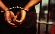 Un Sénégalais en prison au Gabon pour trafic d’espèces protégées Un Sénégalais en prison au Gabon pour trafic d’espèces protégées