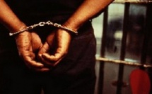 6 Sénégalais arrêtés au Cameroun