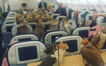 Une prince saoudien réserve des places d'avion pour ses 80 faucons
