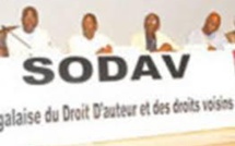 SODAV Aly Bathily désigné Directeur- Général intérimaire