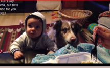 Ce chien parvient à dire "maman" pour une friandise