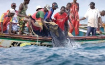 Drame au large des côtes sénégalaises: La Marine repêche 16 cadavres de pêcheurs