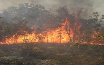 Incendie à Dolly : La gendarmerie ouvre une enquête