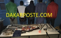 ​BRAQUAGE DE L’AGENCE DE MICROCRED DE NGUEKHOKH :   LA GENDARMERIE DEMENTELE LA REDOUTABLE BANDE A OUSMANE SOW ET SAMBA TALL