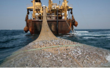 Pêche illégale : Le Sénégal perd 400 milliards par an Pêche illégale : Le Sénégal perd 400 milliards par an