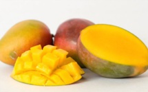 La mangue : Un fruit aux multiples vertus