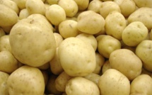 Veille Korité: Thiès entre flambée des prix et pénurie de la pomme de terre