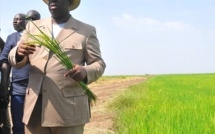 Le Pr Macky Sall reporte sa visite à Fatick...A l'origine le courroux de jeunes Fatickois