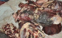 Saisie d’un container de viande de bœuf pourrie, d’une valeur de 25 millions