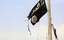 Interpol disposerait d'une liste de 173 jihadistes de l'EI prêts à frapper l'Europe