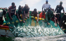 Peche – Les acteurs alertent sur les dangers des usines de farine de poisson