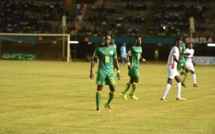 Les Lions font encore match nul face aux Étalons 2-2