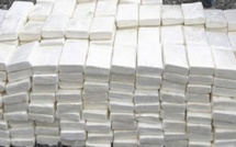 Espagne : un sénégalais arrêté avec 290 Kg de cocaïne