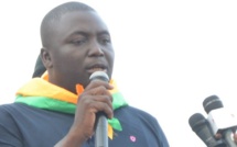 Bamba Fall: « En matière de vol, Aliou Sall a sauté la garderie pour passer à l’université »