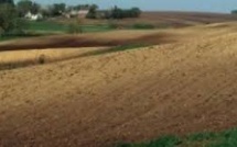 DIX-MILLE HECTARES POUR AFRI PARTNERS - Dodel oppose son véto, dénonce le décret du Président de la République et refuse ' un esclavage de type moderne '