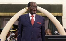 Mugabe singulièrement nommé ambassadeur de l'OMS