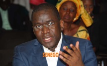Aliou Sow : « Je prie vivement que Gadio ne soit pas coupable des chefs d’accusation… »