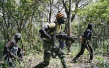 Attaque armée à Ziguinchor: 13 jeunes assassinés froidement