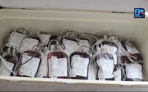PENURIE DE SANG A PODOR : Les amazones de Racine Sy battent le record avec 53 poches recueillies