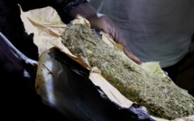 KANEL : Saisie d'un sac contenant 6,5 kg de chanvre indien
