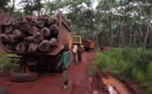 Ziguinchor : Qui sont les 4 quatre forestiers disparus à Boutoupa Camaracounda ?