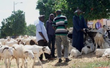 Tabaski: des faux billets remis aux vendeurs de moutons…