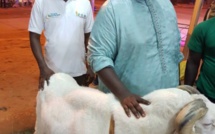 Cette année, c’est Amadou Sall qui achète le mouton présidentiel (Photos)