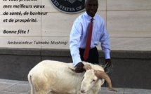 Tabaski : L'ambassadeur des États-Unis pose avec son mouton