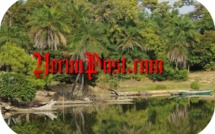 Ziguinchor: Les ravisseurs des exploitants forestiers exigeraient une rançon