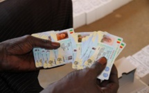 Vol de cartes d'identité : La responsable Apr de Mbour jugée ce lundi