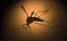 Fatick : un autre cas de dengue découvert