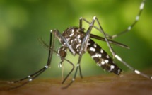Le Sénégal vient d'enregistrer pour la première fois la dengue de type 3.