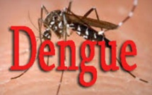 Fatick: La dengue progresse, 12 cas enregistrés